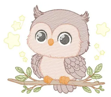 Hibou etoile